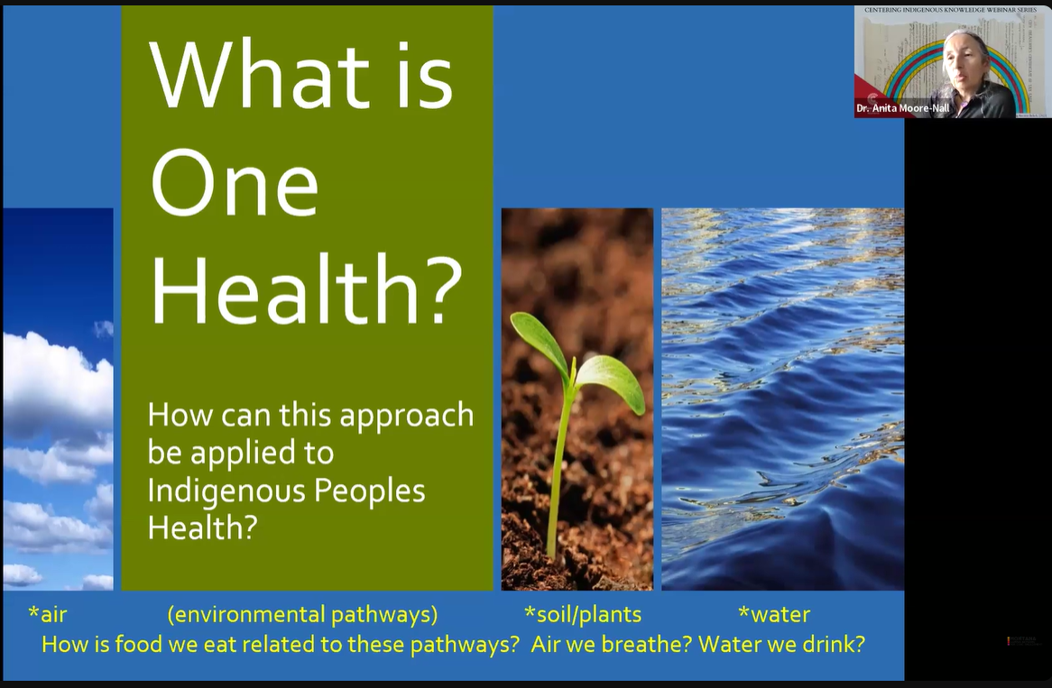 Session 2: A One Health, Place-Based Approach to Indigenous Peoples Health